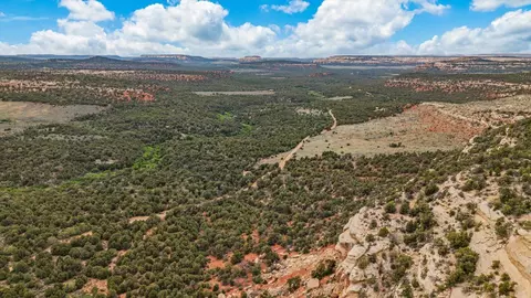 tbd S 9 810 Rd, Glade Park, CO 81523