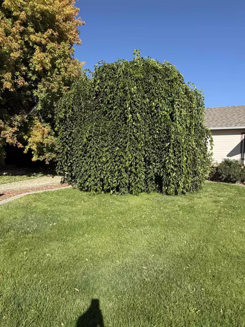 Exterior - 760 Jasper Dr, Fruita, CO 81521 photo 4 of 10