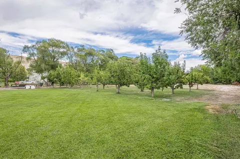 3613 G Rd #E, Palisade, CO 81526 photo 32