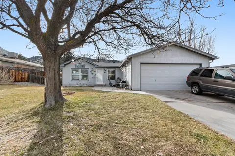 203 E Tamarack Cir, Battlement Mesa, CO 81635