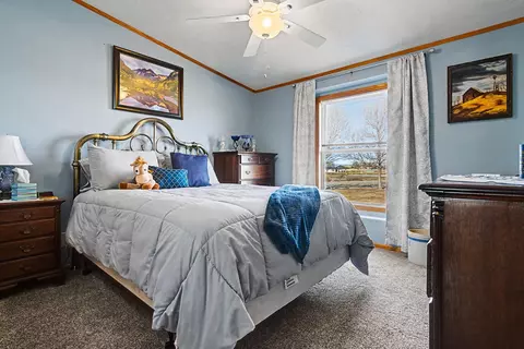 Bedroom - 1679 L Rd, Fruita, CO 81521 photo 4 of 5