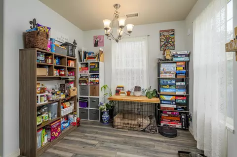 Other - 1178 Windsor Park Dr, Fruita, CO 81521 photo 4 of 10