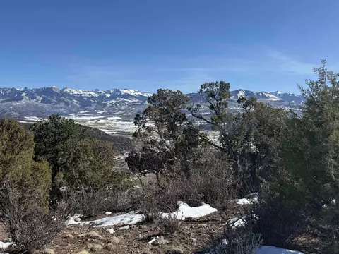 tbd Pine Dr #38, Ridgway, CO 81432