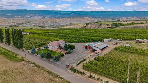 Other - 20809 Nowhere Rd, Eckert, CO 81418 photo 14 of 16