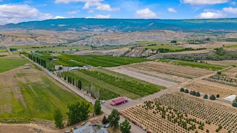 Other - 20809 Nowhere Rd, Eckert, CO 81418 photo 13 of 16