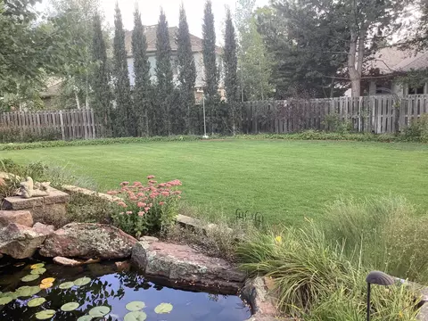 Exterior - 1331 Ruby Way, Longmont, CO 80504 photo 8 of 13
