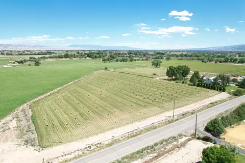 View/Area - 1456 17 Rd, Fruita, CO 81521 photo 4 of 4