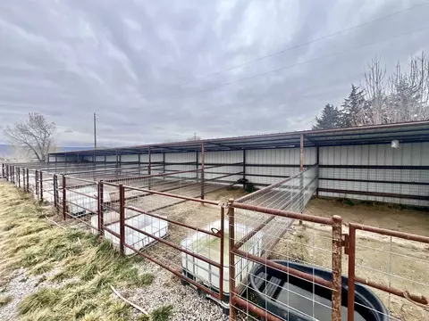 Exterior - 1456 17 Rd, Fruita, CO 81521 photo 9 of 10