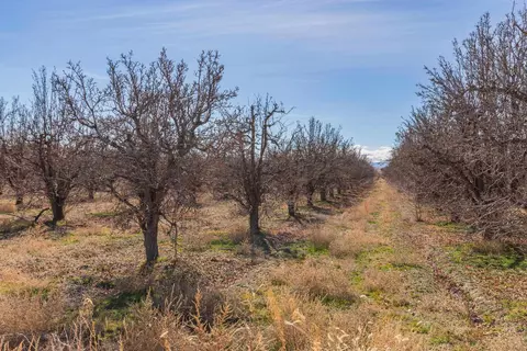 3153 E Rd, Clifton, CO 81504 photo 13