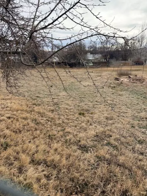 720 E Pabor Ave, Fruita, CO 81521