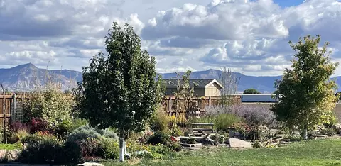 1166 Toscano Rd, Fruita, CO 81521 photo 33
