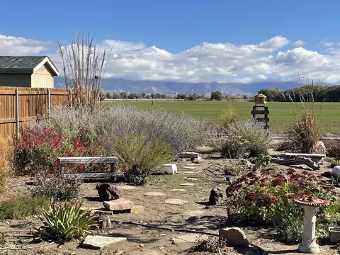 1166 Toscano Rd, Fruita, CO 81521 photo 34
