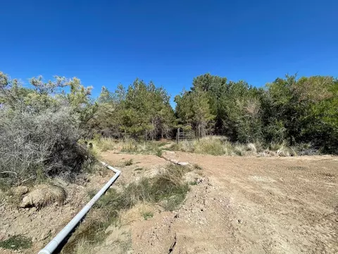 tbd D Rd, Palisade, CO 81526 photo 10