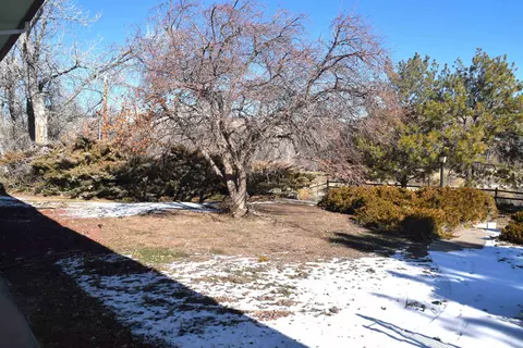 Exterior - 4399 44 Rd, De Beque, CO 81630 photo 4 of 8