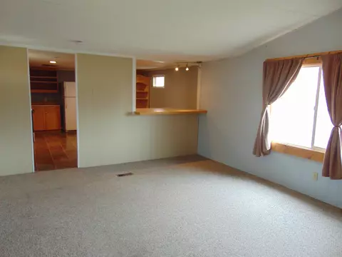 603 Clancy Ave, Collbran, CO 81624 photo 5