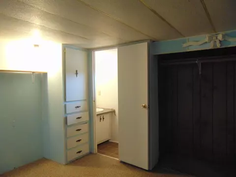 603 Clancy Ave, Collbran, CO 81624 photo 14