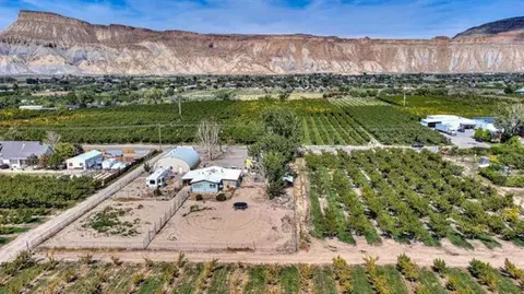 3617 F Rd, Palisade, CO 81526