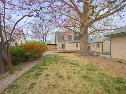 Exterior - 152 S Apple St, Fruita, CO 81521 photo 7 of 11