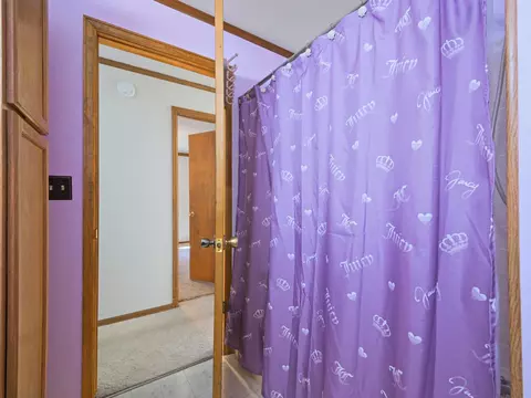 750 Pinyon Ct, Fruita, CO 81521 photo 25