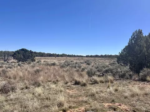 tbd Canyon Ridge Dr, Glade Park, CO 81523