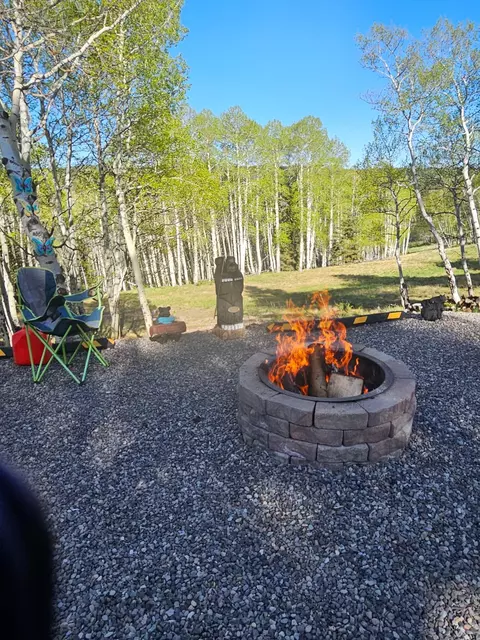 1255 Spruce Rd, Cimarron, CO 81220 photo 13