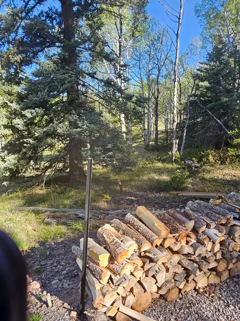 1255 Spruce Rd, Cimarron, CO 81220 photo 7