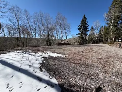 1255 Spruce Rd, Cimarron, CO 81220 photo 6