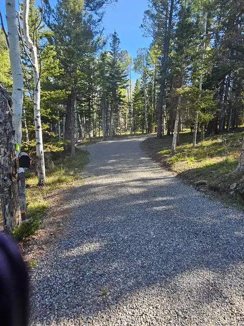1255 Spruce Rd, Cimarron, CO 81220 photo 10