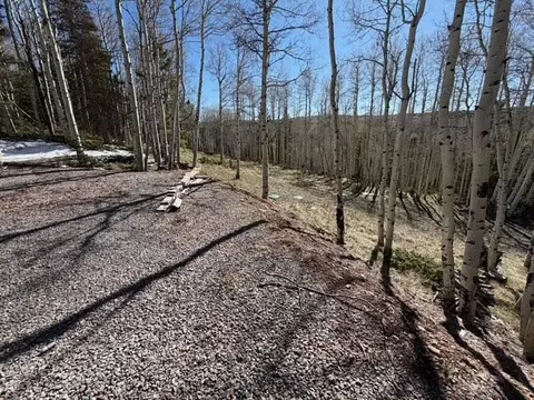 1255 Spruce Rd, Cimarron, CO 81220 photo 17