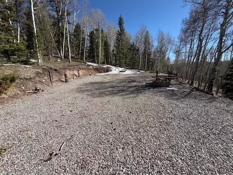 1255 Spruce Rd, Cimarron, CO 81220 photo 9