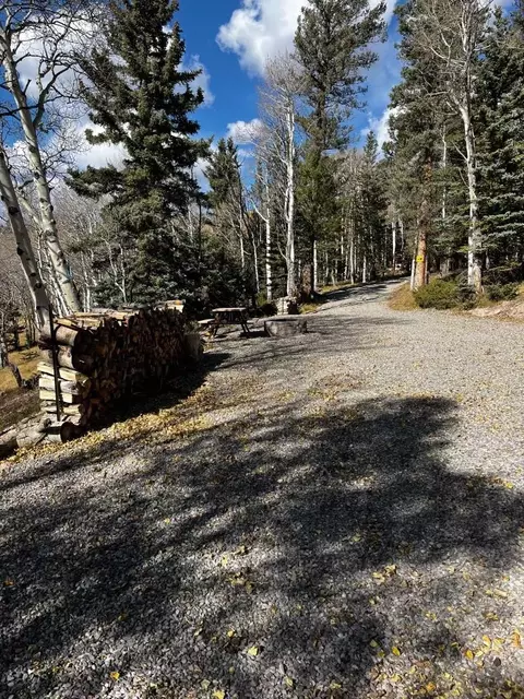 1255 Spruce Rd, Cimarron, CO 81220 photo 14