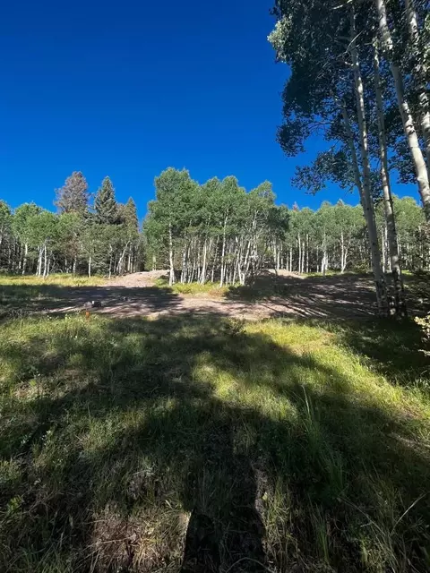 1255 Spruce Rd, Cimarron, CO 81220