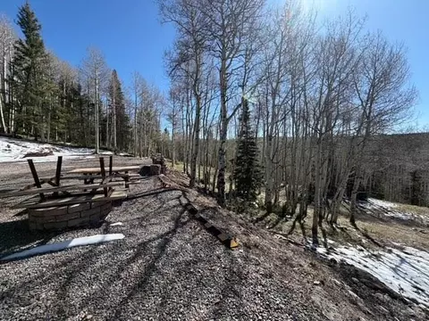 1255 Spruce Rd, Cimarron, CO 81220 photo 3