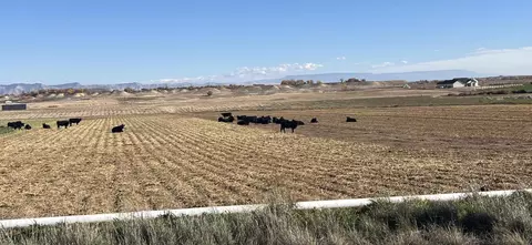1664 8 Rd, Mack, CO 81525 photo 9