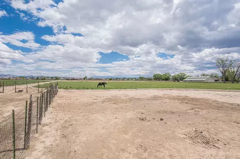 Exterior - 1176 17 12 Rd, Fruita, CO 81521 photo 11 of 12