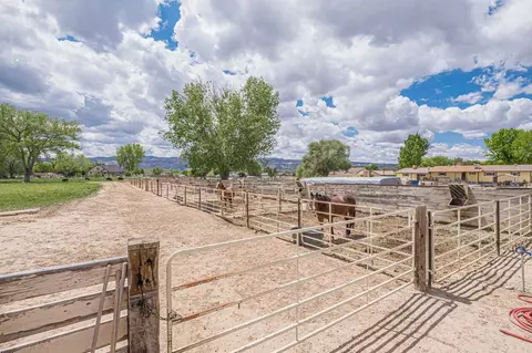 Exterior - 1176 17 12 Rd, Fruita, CO 81521 photo 12 of 12