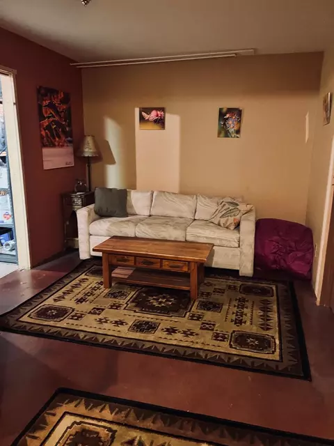 Living - 301 Crest Dr, Cimarron, CO 81220 photo 3 of 3