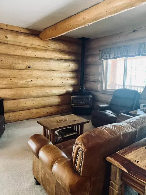 Living - 301 Crest Dr, Cimarron, CO 81220 photo 2 of 3