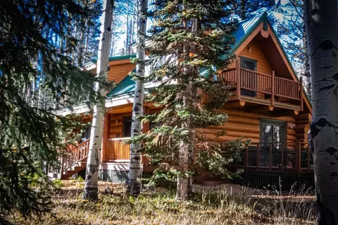 Exterior - 301 Crest Dr, Cimarron, CO 81220 photo 4 of 4