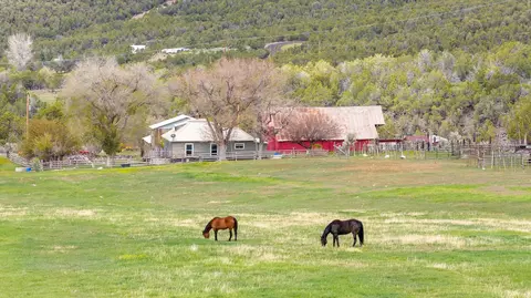 11260 54 710 Rd, Molina, CO 81645
