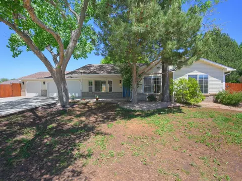 874 Henry Cir, Fruita, CO 81521