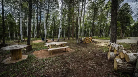 513 Crest Dr, Cimarron, CO 81220 photo 4