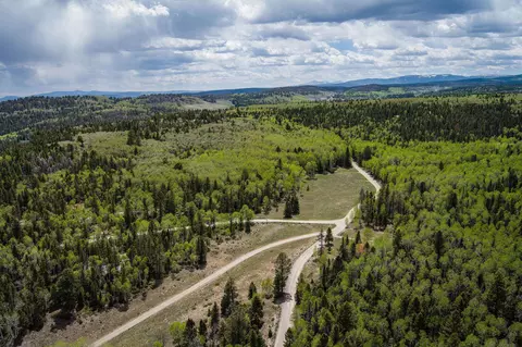 513 Crest Dr, Cimarron, CO 81220 photo 19
