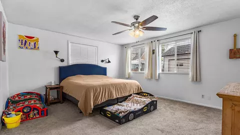 926 E Cleveland Ave, Fruita, CO 81521 photo 20