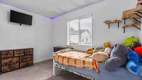 926 E Cleveland Ave, Fruita, CO 81521 photo 27