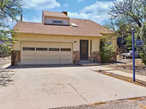 913 Squire Ct, Fruita, CO 81521