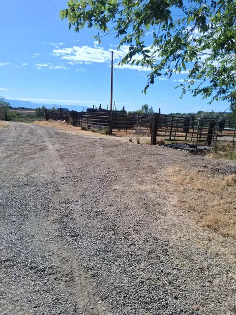 Exterior - 1983 River Rd, Fruita, CO 81521 photo 4 of 6