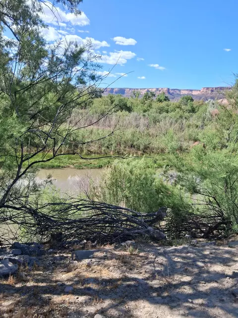 View/Area - 1983 River Rd, Fruita, CO 81521 photo 2 of 2