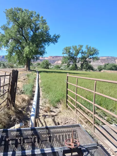 Other - 1983 River Rd, Fruita, CO 81521 photo 6 of 7