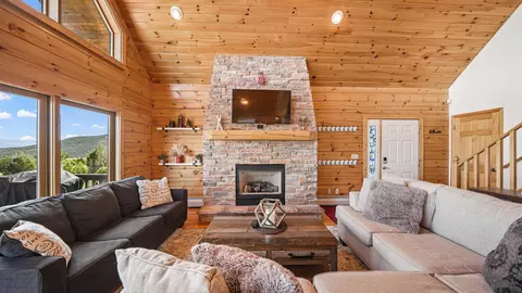 Living - 8506 Lone Eagle Rd, Mesa, CO 81643 photo 5 of 5